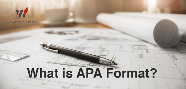 فرمت APA چیست؟